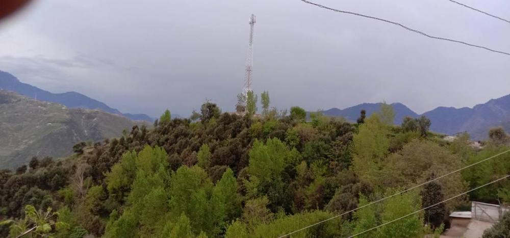 The green hill of Dhup — Dhup Valley, Jijal